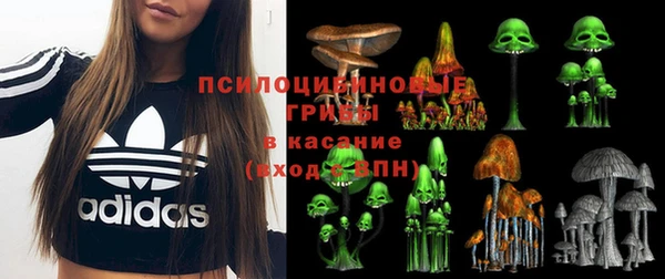MDMA Premium VHQ Богородск