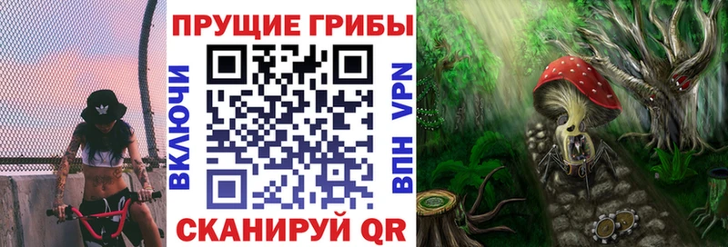 что такое   Новоуральск  Псилоцибиновые грибы прущие грибы 