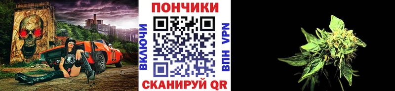 Бошки марихуана тримм  hydra tor  Новоуральск 